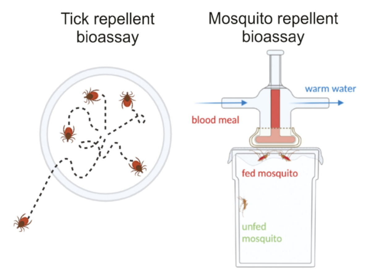 A deep learning and digital archaeology approach for mosquito repellent discovery